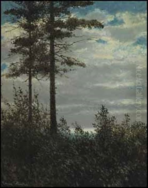 Night O'dreams Oil Painting by Francis Hans Johnston