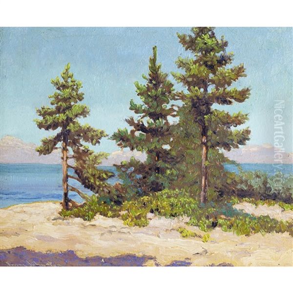 Spruce Point, Georgian Bay Oil Painting by Francis Hans Johnston