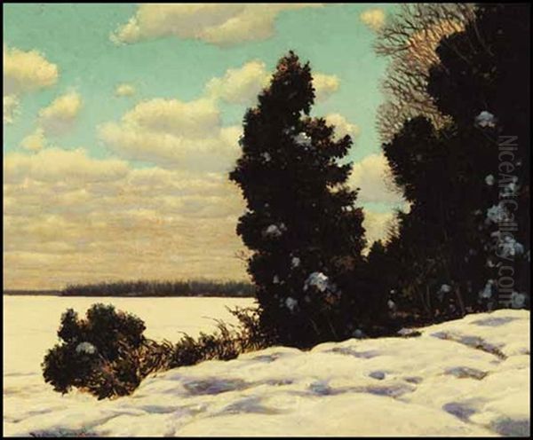 Noonlight In The North Oil Painting by Francis Hans Johnston