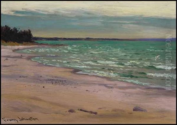 The Lone Gull, Georgian Bay Oil Painting by Francis Hans Johnston