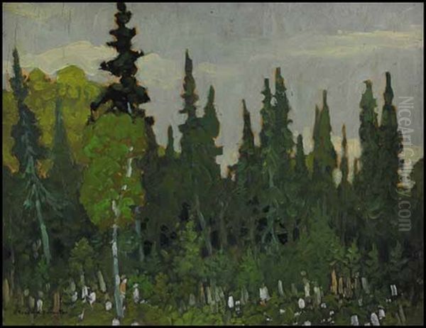 Algoma Tapestry Oil Painting by Francis Hans Johnston