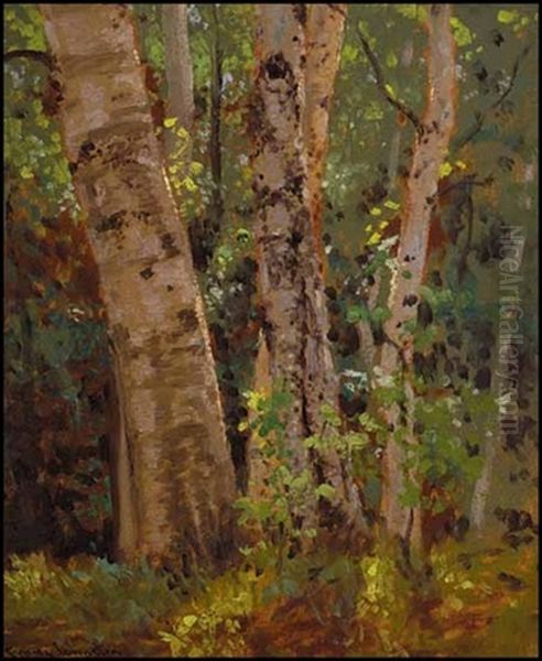 Group Of Birches Oil Painting by Francis Hans Johnston