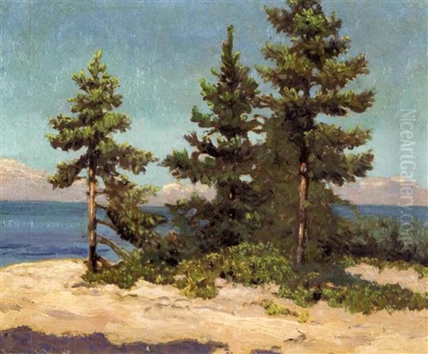 Spruce Point, Georgian Bay Oil Painting by Francis Hans Johnston