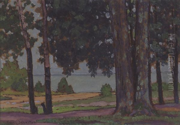 View Of Lake Through The Trees Oil Painting by Francis Hans Johnston