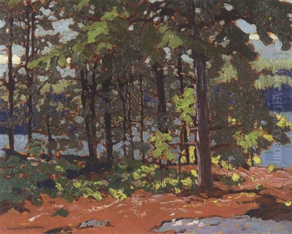 Arabesque, Lake Of The Woods Oil Painting by Francis Hans Johnston