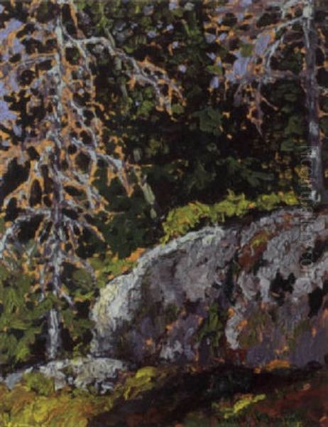 Lichen, Lake Of The Woods Oil Painting by Francis Hans Johnston