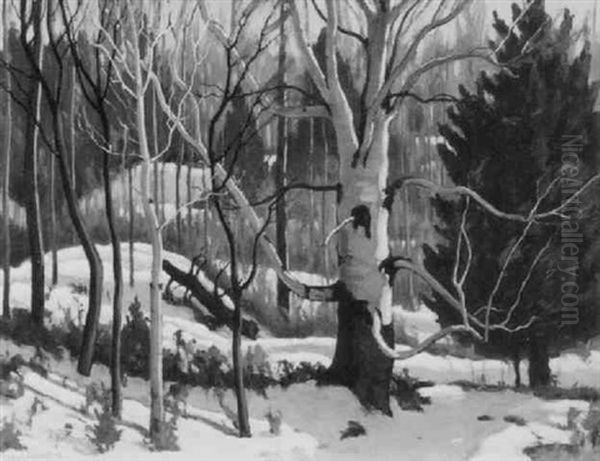 Trees In Winter by Francis Hans Johnston