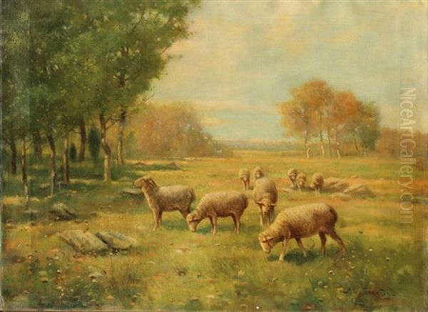 Sheep Oil Painting by Reuben Le Grande Johnston