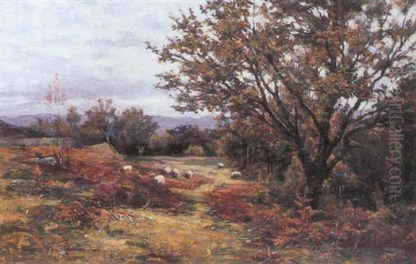 Sheep Grazing By The Woods Oil Painting by George Whitton Johnstone