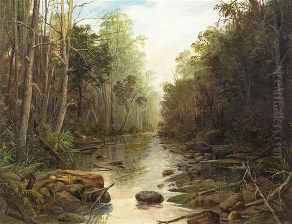 Bush Creek Oil Painting by Henry James Johnstone