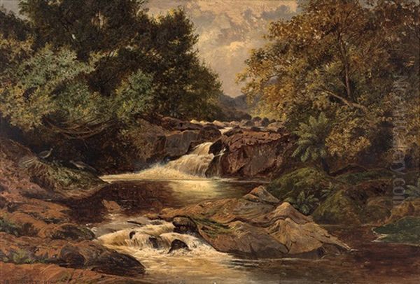 Ferntree Gully Oil Painting by Henry James Johnstone