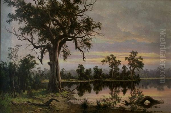 On The Murray Flats, South Australia Oil Painting by Henry James Johnstone