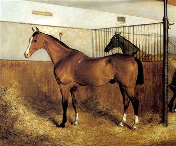 'imperator', A Light Bay Hunter, In A Stable With Another Horse Oil Painting by Adrian Jones