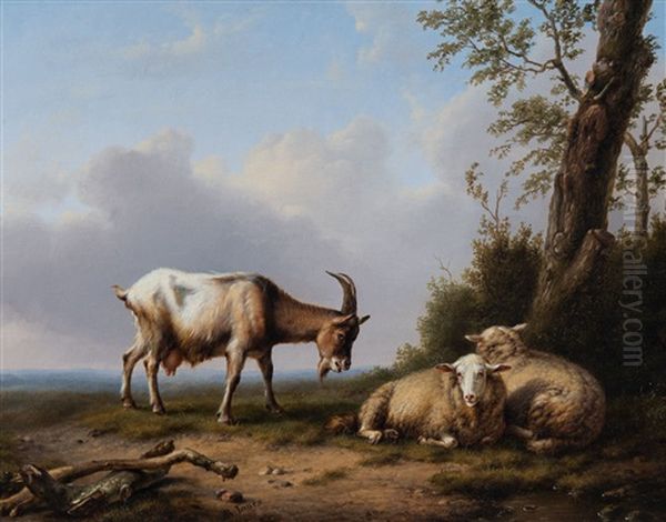 Goats And Sheep Oil Painting by Daniel-Adolphe-Robert Jones