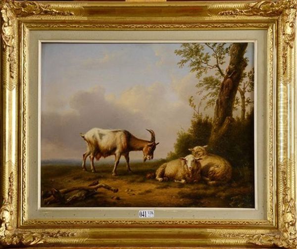 Chevre Et Moutons Au Pre by Daniel-Adolphe-Robert Jones