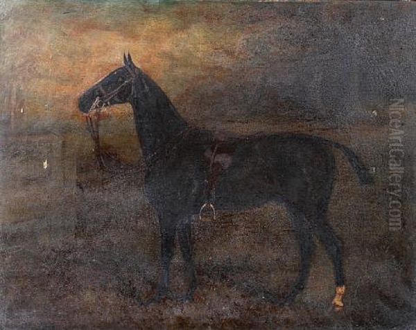 Tommy, A Saddled Hunter Oil Painting by Herbert H. St. John Jones