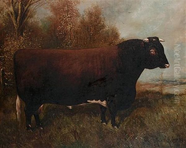 Royal Seal - A Shorthorn Bull Oil Painting by Herbert H. St. John Jones