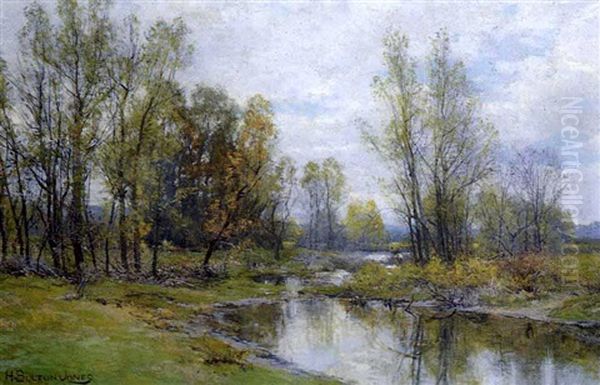 Spring Reflections Oil Painting by Hugh Bolton Jones