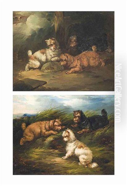 Terriers Ratting On The Moor; And Terriers With The Catch, A Pair Oil Painting by Paul Jones