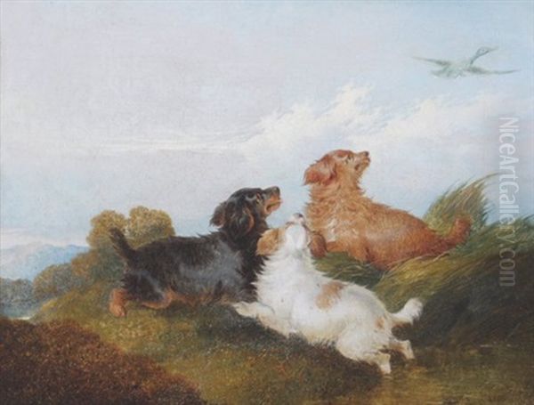 Three Dogs In A Landscape Oil Painting by Paul Jones