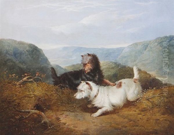 Two Dogs In A Landscape Oil Painting by Paul Jones