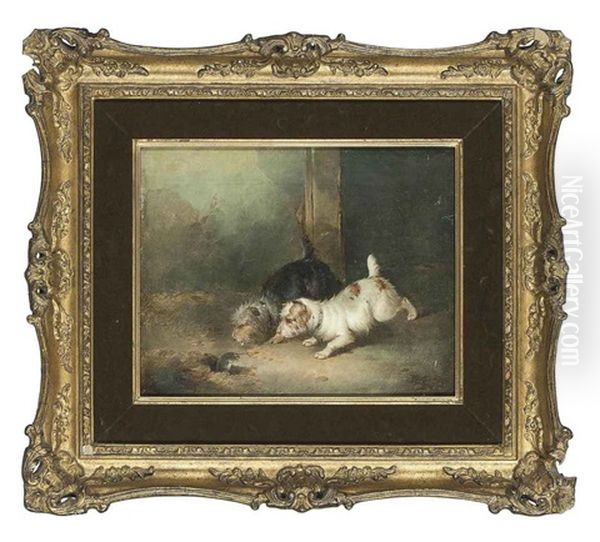 Terriers Ratting (+ Terriers With A Cage; Pair) Oil Painting by Paul Jones