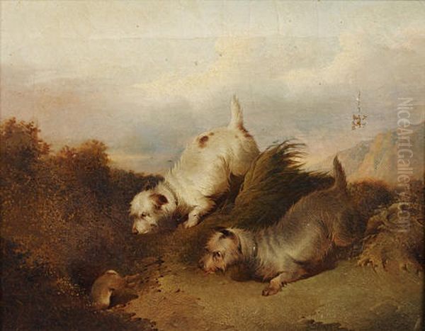 Terriers Chasing A Rabbit Down A Hole (+ Spaniels Flushing Out A Duck; Pair) Oil Painting by Paul Jones