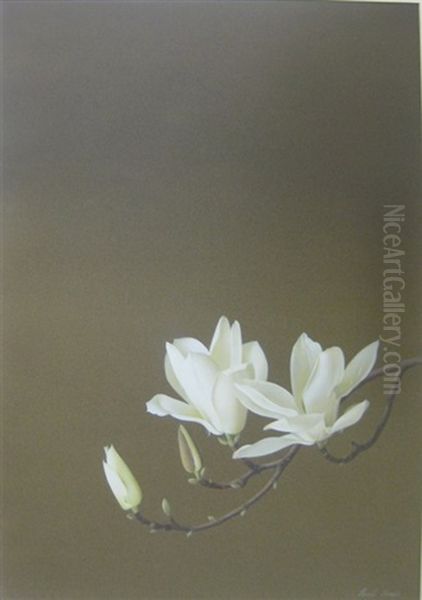 Magnolia Oil Painting by Paul Jones