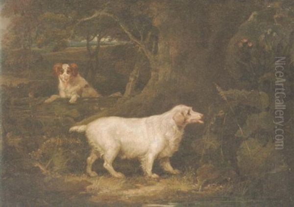 A Clumber Spaniel In A Wood Oil Painting by Richard Jones