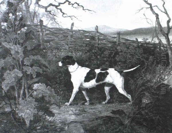 Flirt, A Pointer In A Landscape Oil Painting by Richard Jones