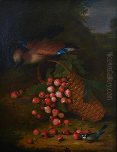 A Jay Knocking Over A Basket Of Strawberries, Watched By A Blue Tit Oil Painting by William Jones