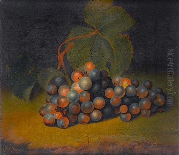 A Bunch Of Grapes In A Landscape Oil Painting by William Jones