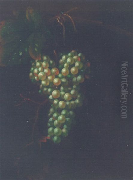 A Bunch Of Grapes On A Vine, With A Fly Oil Painting by William Jones