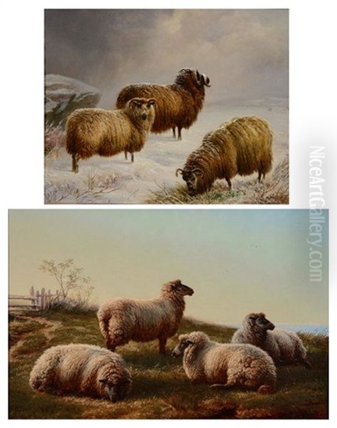 Sheep In A Snowy Landscape Oil Painting by Charles Jones