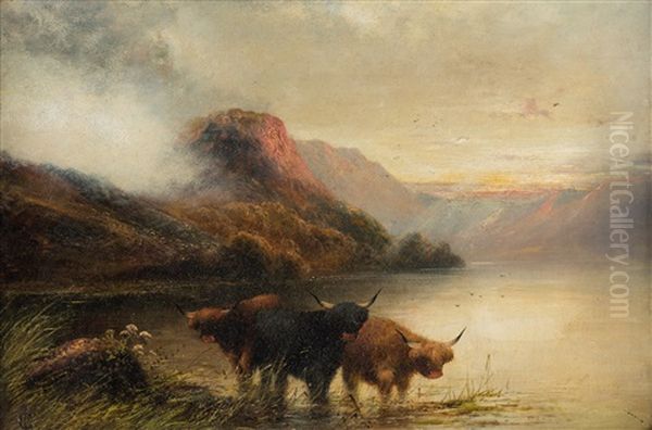 Highland Cattle, Scotland Oil Painting by Charles Jones