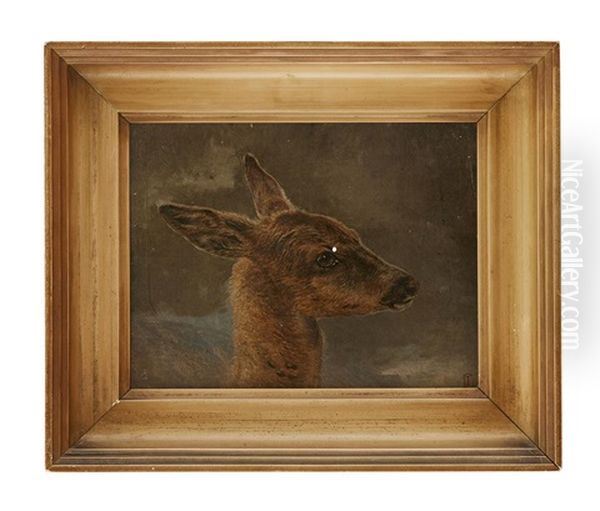 Head Study Of A Deer Oil Painting by Charles Jones