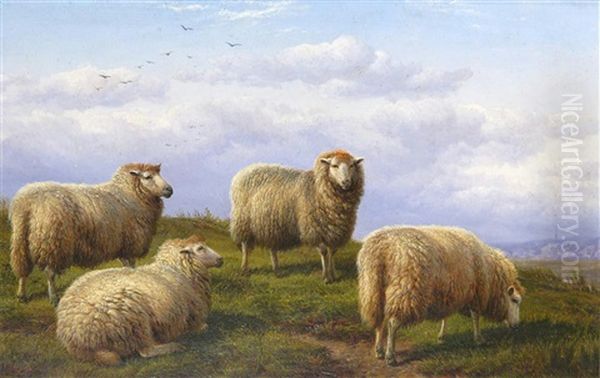 Sheep Grazing by Charles Jones