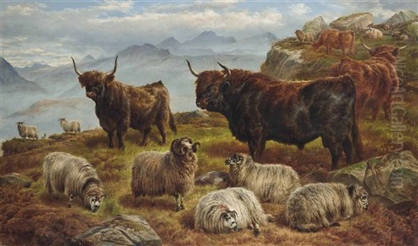 Highland Cattle And Sheep Grazing Oil Painting by Charles Jones