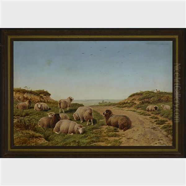 Sheep Grazing On The Coast Oil Painting by Charles Jones