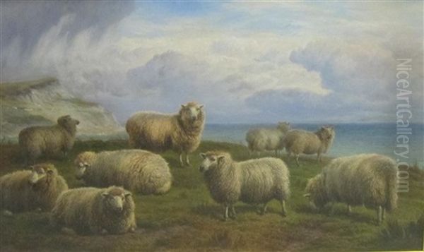 Sheep Grazing On A Cliff-top Oil Painting by Charles Jones