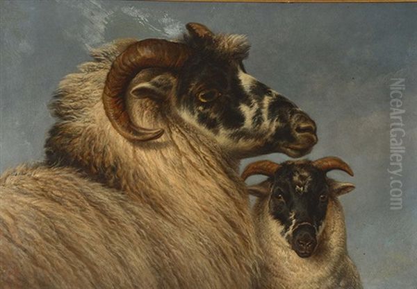 Portrait Of A Ram With Companion Alongside Oil Painting by Charles Jones