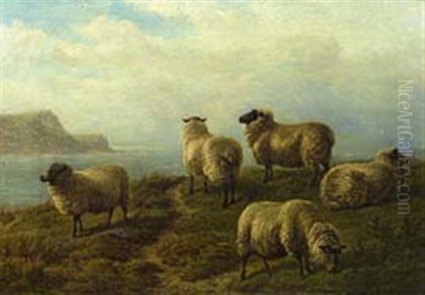 Sheep Grazing On A Headland Oil Painting by Charles Jones