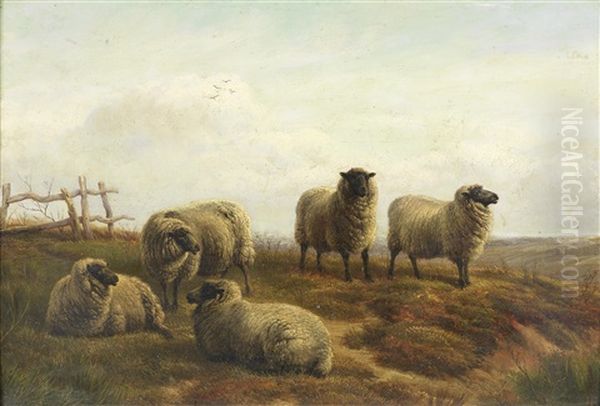 Sheep On Moorland Oil Painting by Charles Jones