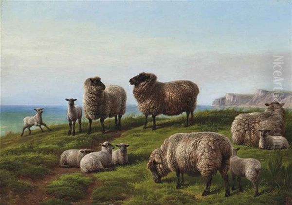 Sheep Grazing On A Headland Oil Painting by Charles Jones