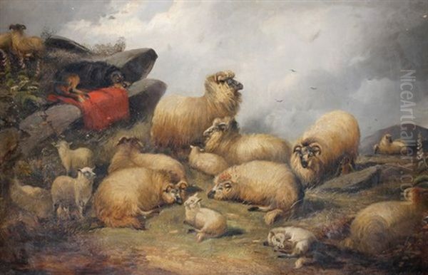 Chien Et Moutons Oil Painting by Charles Jones