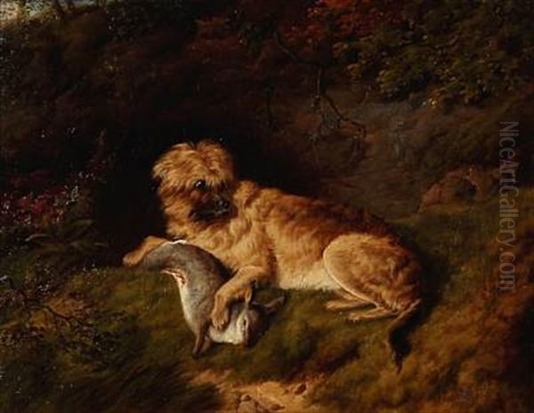 A Terrier With His Prey Oil Painting by Charles Jones