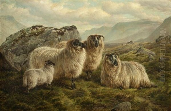 Highland Sheep In The Trossachs, Scotland Oil Painting by Charles Jones