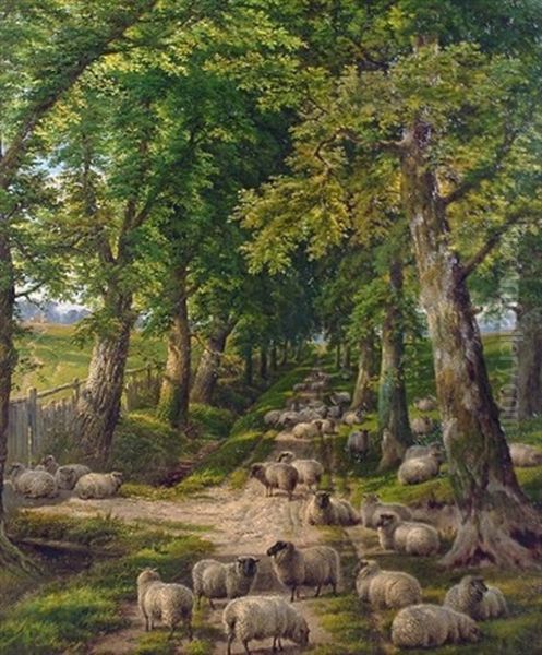 Sheep Resting On A Shady Path Oil Painting by Charles Jones