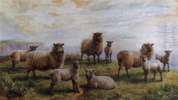 Footstets Approaching, Sheep And Lambs On A Cliff Top And The Sea And Further Cliffs In The Distance Oil Painting by Charles Jones