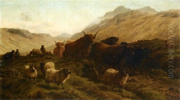 Moutons Et Ses Taureaux Des Highlands Oil Painting by Charles Jones